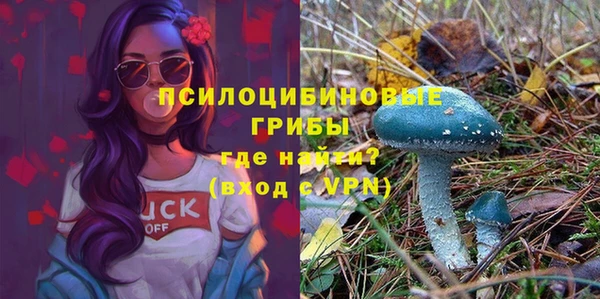 гидропоника Володарск